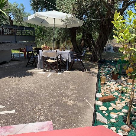Cactus Suite Prínosz Kültér fotó