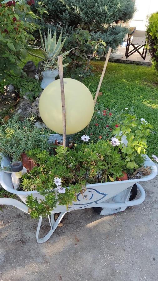 Cactus Suite Prínosz Kültér fotó