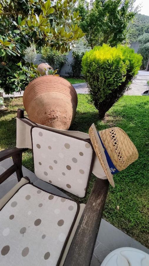 Cactus Suite Prínosz Kültér fotó
