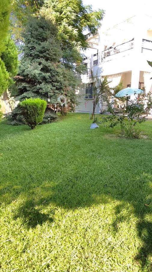 Cactus Suite Prínosz Kültér fotó